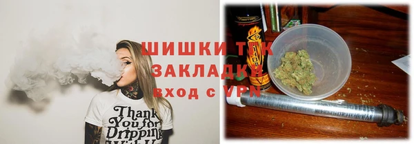 твердый Гусев