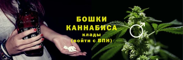 меф Дмитриев
