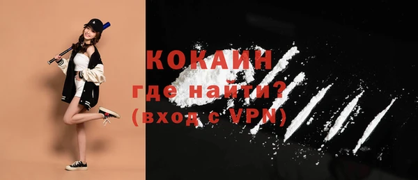 меф Дмитриев