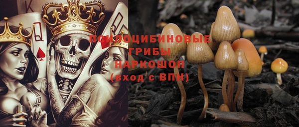 меф Дмитриев
