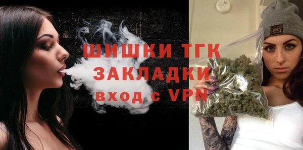 меф Дмитриев