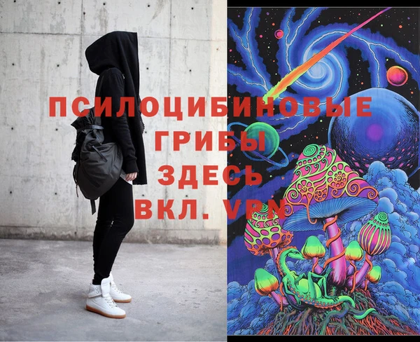 бошки Магас