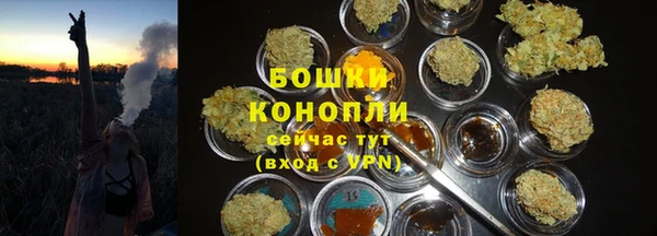 меф Дмитриев