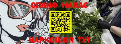 скорость Кинель