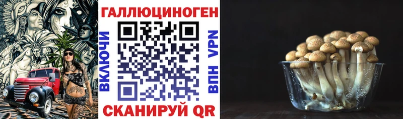 Галлюциногенные грибы мицелий  Рузаевка 