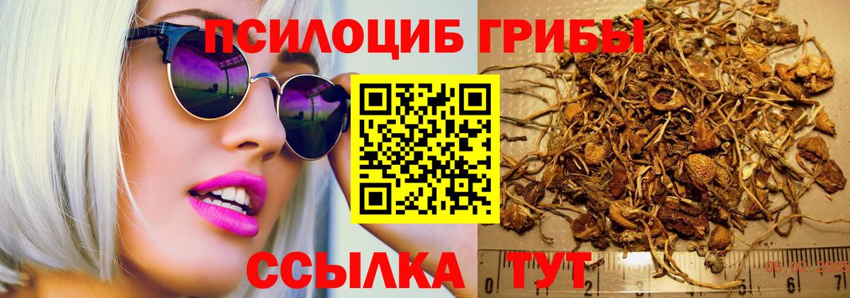 Псилоцибиновые грибы Magic Shrooms Рузаевка