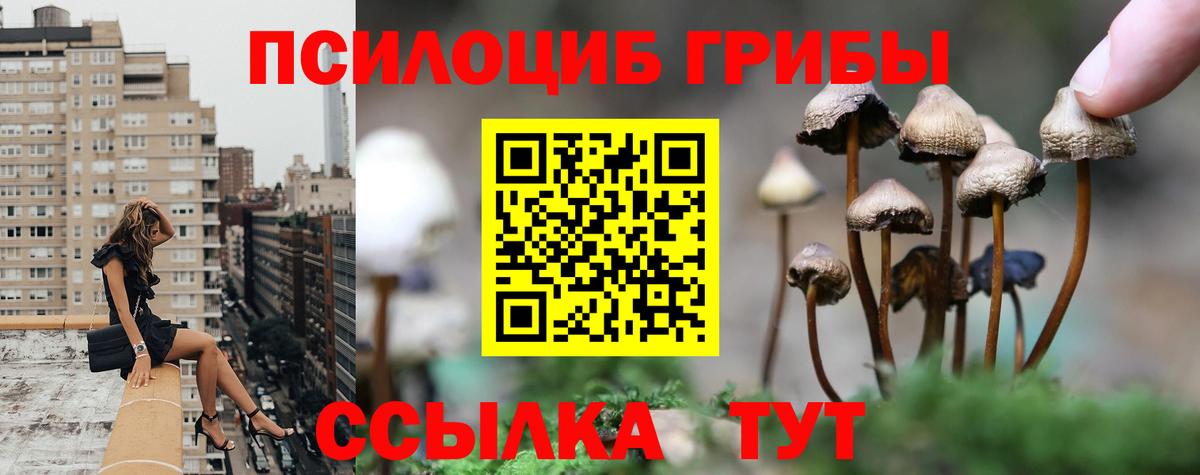 Псилоцибиновые грибы Magic Shrooms  Вход с VPN  Галлюциногенные грибы прущие грибы  Рузаевка 